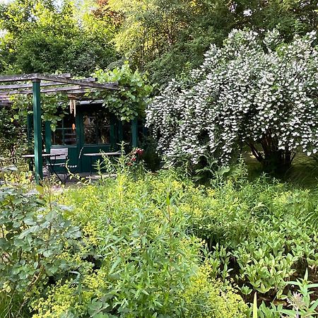 Design Ferienwohnung Mit Bauerngarten Waldkirchen Ngoại thất bức ảnh