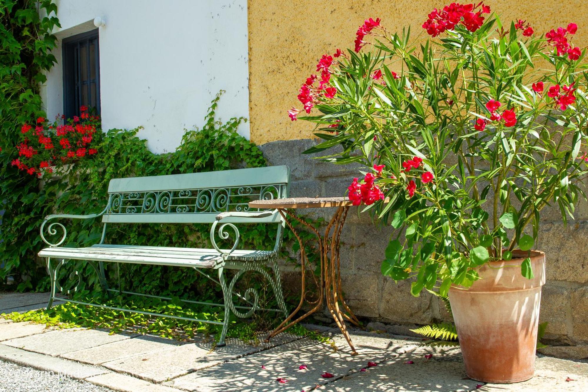 Design Ferienwohnung Mit Bauerngarten Waldkirchen Ngoại thất bức ảnh