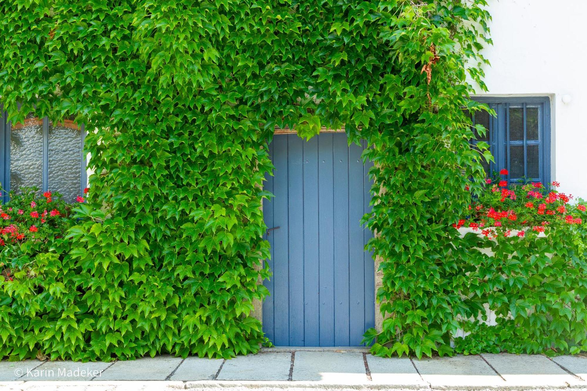 Design Ferienwohnung Mit Bauerngarten Waldkirchen Ngoại thất bức ảnh