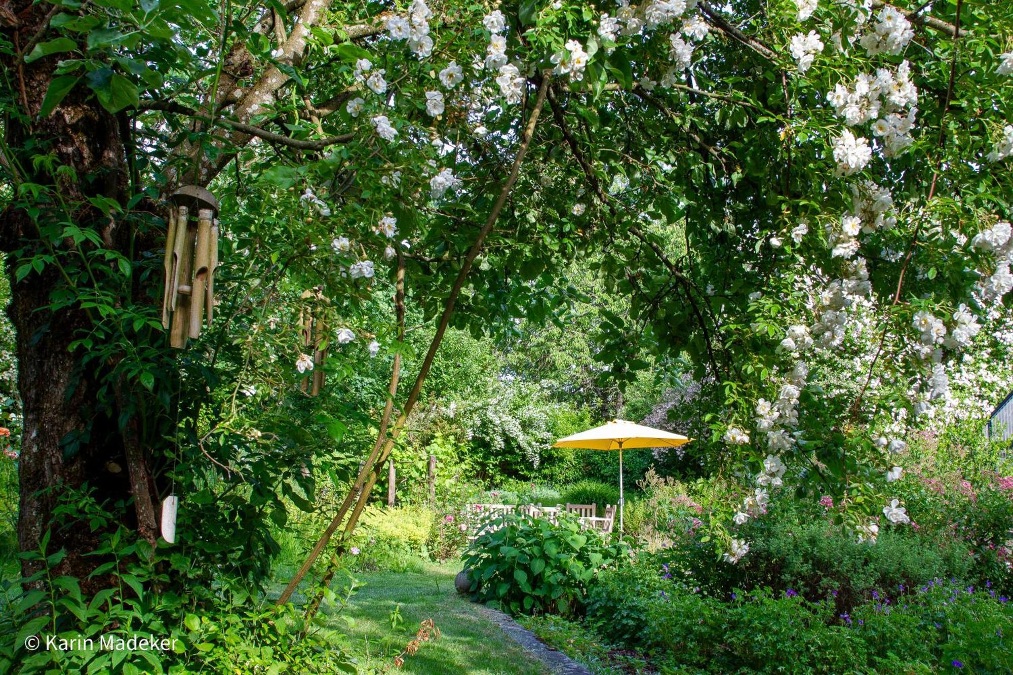 Design Ferienwohnung Mit Bauerngarten Waldkirchen Ngoại thất bức ảnh